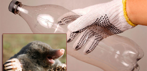 Jak vyrobit krtko z plastových lahví vlastními rukama