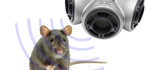 Die Verwendung von Ultraschall gegen Ratten und Mäuse